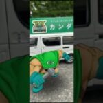 【ドラクエウォーク】【DQW】７月フォトコンテスト〜『ねがいごと』