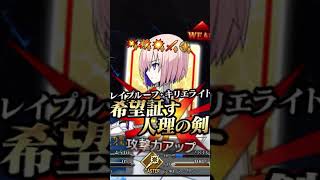 [FGO]オルガマリークエスト_04 マシュ 黒聖杯 宝具 火力やばい… #FGO #マシュ #パラディーン