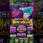 超極限Zバトル vs SSベジット クリア編成【攻略】 #ドッカンバトル #ドラゴンボール #dokkanbattle #dragonball