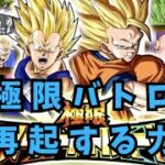 極限バトルロード/再起する力/ドラゴンボールZドッカンバトル/＃115