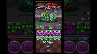 パズドラ#ランキングダンジョン#全国eスポーツ選手権2025杯