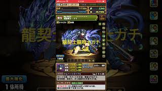 パズドラ　龍契士龍喚士ガチャ！