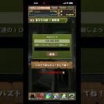 パズドラのフレンド大募集中です🙇‍♂️チャンネル登録よろしくお願いします🙇‍♂️#パズドラ #パズドラフレンド