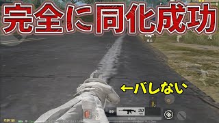 絶対にバレない衣装で無双したい　#荒野行動