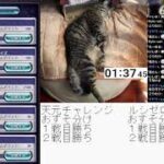＃グラブル　おすそ分けチャレンジ　不定期なやつ　天元２戦&ルシゼロ２戦　ライブ：１１３２　７月３０日　水曜日