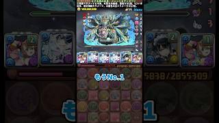 部位に特化しすぎたキャラ #パズドラ
