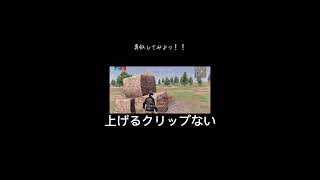 これってギリギリクエ式になってますか？#荒野行動 #おすすめにのりたい