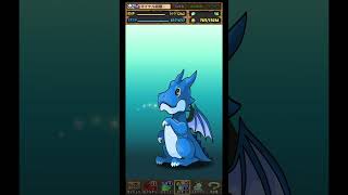 【パズドラ】デイトナかシーウルフ出るまで毎日動画視聴ガチャ1253日目！2025/8/20 #パズドラ #shorts