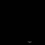 【ドッカンバトル】ゴジータ4当たるまで眠れません#ドッカンバトル#ドラゴンボール