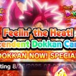 BREAKING NEWS NEW TANABATA COMING NEXT!! SSJ4 Daima Goku Finally Coming? | DBZ Dokkan Battle