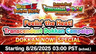 CRAZY ANNOUNCEMENTS!! TRANSCENDENT DOKKAN CAMPAIGN LIVESTREAM REVEAL!! (DBZ Dokkan Battle)