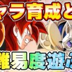 キャラ育成とか高難易度遊ぶ【ドッカンバトル】　Dokkanbattle　GLOBAL　CP　りどるGames