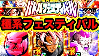 俺の極系バトルフェスティバル　完。【ドッカンバトル】【Dragon Ball Z Dokkan Battle】【アーカイブ保存用】【ノーカット】