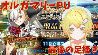 【#FGO ガチャ】オルガマリー所長をまだ引けていない妖精によるガチャ会場はこちら【みしぇる #Vtuber 】
