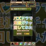 ドッカンプレイヤーがパズドラの鬼滅ガチャ回してみた#ショート動画 #パズドラ #鬼滅の刃 #shorts #ガチャ動画