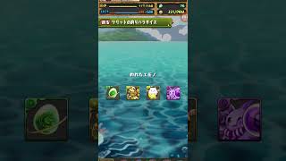 【パズドラ】え？！これマジですか？#shorts