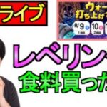 【ドラクエウォーク】花火大会 レベリング 食料 雑談 【攻略】