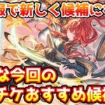 【グラブル】新情報から新しく候補に挙がってきた様々な今回のサプチケおすすめ候補を紹介！