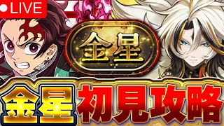 【パズドラ配信】金星チャレンジ 初見攻略！！俺がくじけることは絶対にない配信！！【パズドラ実況】