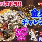 パズドラ🌟ライブ配信🌟金星チャレンジ周回＆ガチャなど🐕️雑談枠🐶