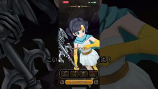 【ドラクエウォーク】ヘルパイレーツ フルオート #ドラゴンクエストウォーク