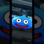 復刻夏のＷピックアップふくびき（ドラクエウォーク）