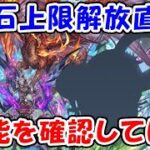 【グラブル】楔石上限解放直前！性能を確認していく！（真夏のグラブル大討伐祭）（ライブ配信）「グランブルーファンタジー」