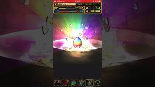 ガンホーコラボガチャ2　ログインスタンプ1回目　　#パズドラ　#パズル　#イベント　#ガチャ　#コラボ #ガンホー