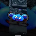 【ドラクエウォーク】前夜祭2025ふくびき10連後半(20連目)
