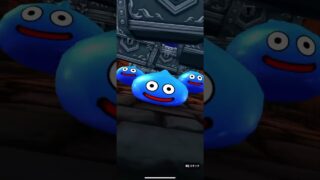 【ドラクエウォーク】前夜祭2025ふくびき10連後半(20連目)