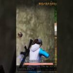 【荒野行動】真剣勝負中の精鋭達にBGMを付けてみた。ワイルドシリーズ。