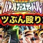 極系バトルフェスティバル怒りブロリー参戦編【ドッカンバトル】【Dragon Ball Z Dokkan Battle】