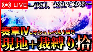 【FGO】奏章Ⅳトリニティ・メタトロニオス縛り攻略！ ストーリー配信 Part10【初見歓迎】