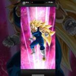 WORLDWIDE CELEBRATION DOKKAN FESTIVAL! LR SSGSS Goku & Vegeta #dokkanbattle #dragonballz #dokkan