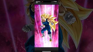 WORLDWIDE CELEBRATION DOKKAN FESTIVAL! LR SSGSS Goku & Vegeta #dokkanbattle #dragonballz #dokkan
