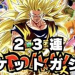 ドッカンフェスチケットガシャ２３連/ドラゴンボールZドッカンバトル/＃161