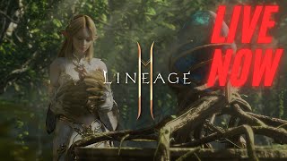 day 8 INFO DRAMA PERANG? top global DB Bartz 4 #lineage2m #l2m