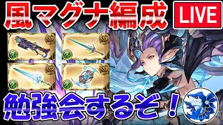 🔴【風マグナ】マグナ武器の必要本数調べるぞ！　風古戦場に向けてマグナ編成勉強しながら雑談ライブ【グラブル】