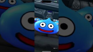 ドラクエウォークガチャ動画！ #ドラクエウォーク #ドラクエウォークガチャ #ドラクエ