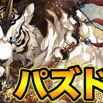 遊ぶよ〜！【スー☆パズドラ】