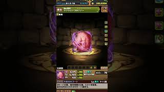 言いたいだけのファーwww #パズドラ　#shorts