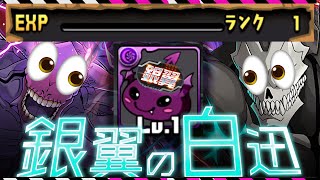 ランク1から銀翼チャレンジぶっ壊してみた💀【パズドラ 怪獣8号】