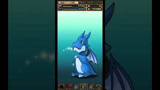 【パズドラ】デイトナかシーウルフ出るまで毎日動画視聴ガチャ1298日目！2025/10/9 #パズドラ #shorts