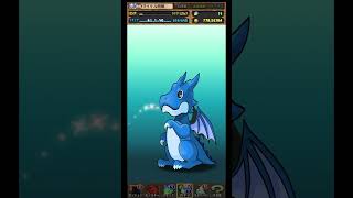 【パズドラ】デイトナかシーウルフ出るまで毎日動画視聴ガチャ1307日目！2025/10/18 #パズドラ #shorts