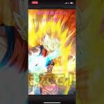 【1330日目】毎日単発ガチャ【ドラゴンボールZドッカンバトル】
