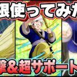 【ドッカンバトル】ポテンシャルが凄い!2ターンの掛け算サポート持ち!あの絶望イベントでの適正有!?極限天下一孫悟空使ってみた!【Dragon Ball Z Dokkan Battle】