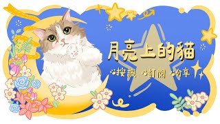 【天堂2M】無聊開個音樂+掃街台 !!! #리니지2m #リネージュ2m #Lineage2M