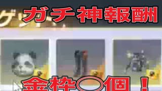 #ペニンシュラ大脱走「48箱開封」ｂｙ夢底辺グループ【荒野行動】1617PC版『KNIVES OUT』「荒野の光」　#荒野行動　#荒野バババン8周年  #底辺まぁ【荒野無課金】