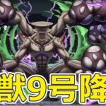【パズドラ】怪獣9号降臨！