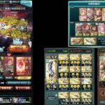 【グラブル】ヴェルサシア 光虚詐軸 HP調整あり